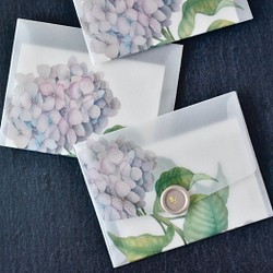 紫陽花 アジサイ 選べるボタニカル トレーシングペーパー封筒 カードセット シーリングスタンプ付 1枚目の画像
