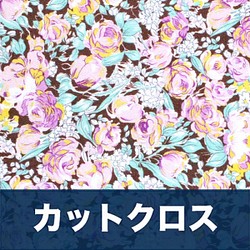 カットクロス Windham Fabrics / Meadow 51804A-1 Mini Blooms Brune 1枚目の画像