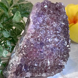 カコクセナイト内包✨ レインボー アメジスト クラスター 原石 紫水晶
