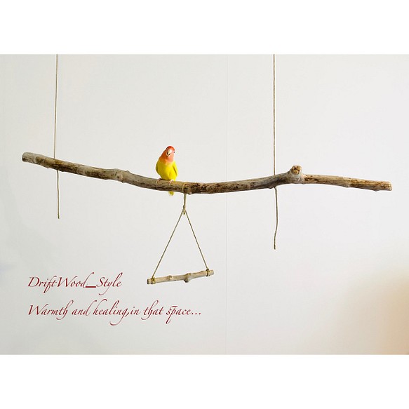 流木インテリア  大型の天然流木の小鳥の止まり木 吊り下げタイプ インコ 鳥 ブランコ 自然木 No.9 1枚目の画像