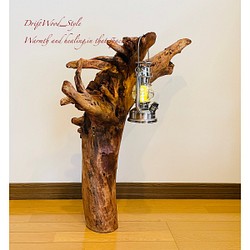 流木インテリア 自然の造形が美しい流木スタンド ランタンやエアプラントを飾れる置物 北欧 照明 木材 癒し N1 1枚目の画像