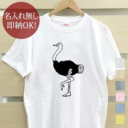 【全国送料無料】ダチョウ 駝鳥 鳥 レディース メンズ Tシャツ おもしろTシャツ 綿100% カラー7色 1枚目の画像