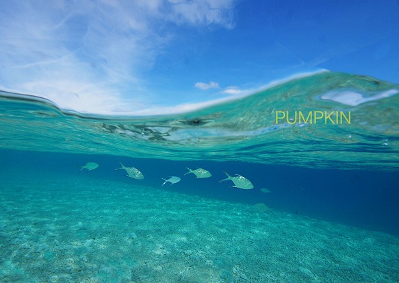 マリンドリーム  PH-A3-0192 写真 半水面 沖縄 慶良間諸島 珊瑚礁 ラグーン 海 海岸 青い海 白い砂 1枚目の画像