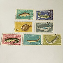 使用済切手  ルーマニア  魚7枚セット 1枚目の画像