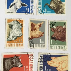 使用済切手  ルーマニア  家畜動物7枚セット 1枚目の画像