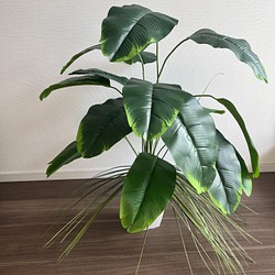 限定セット 人工観葉植物 フェイクグリーン バナナリーフ  オニオングラス 1枚目の画像