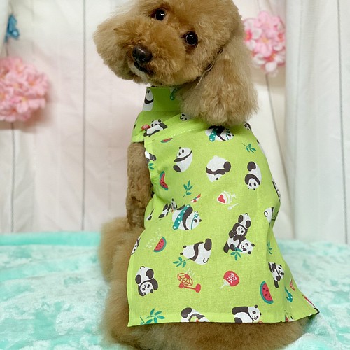 犬服】パンダさんの夏休みスタンドカラーてぬぐいシャツ☆(黄緑or黄色