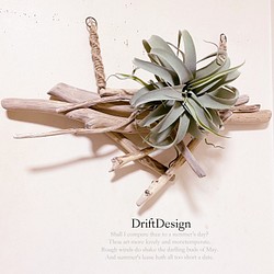 〜Drift Design〜　流木と大型キセロ造花の壁掛けデザインディスプレイ　インテリア　流木アート　グリーン　造花 1枚目の画像
