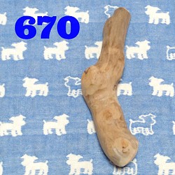 670.犬のおもちゃ犬用、かじり木、あまがみ対策、梨の木、小さめ中型犬向き 1枚目の画像