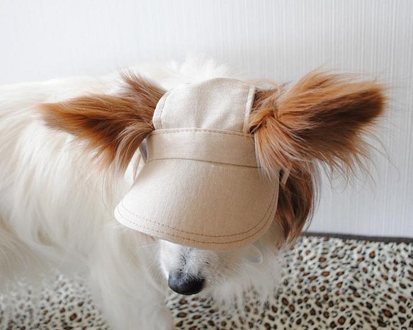 犬の帽子＊ミルクティー（白ゴム）＊Mサイズ＝4㎏前後の小型犬用 1枚目の画像