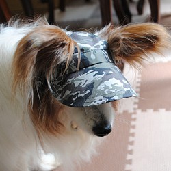 【Mサイズ】犬の帽子*cottonカモフラ グレー（黒ゴム） 1枚目の画像