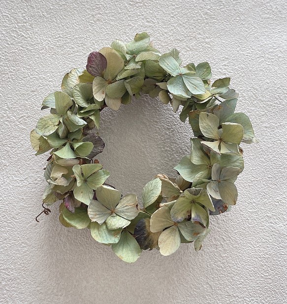 mini blue green hydrangea wreath 1枚目の画像