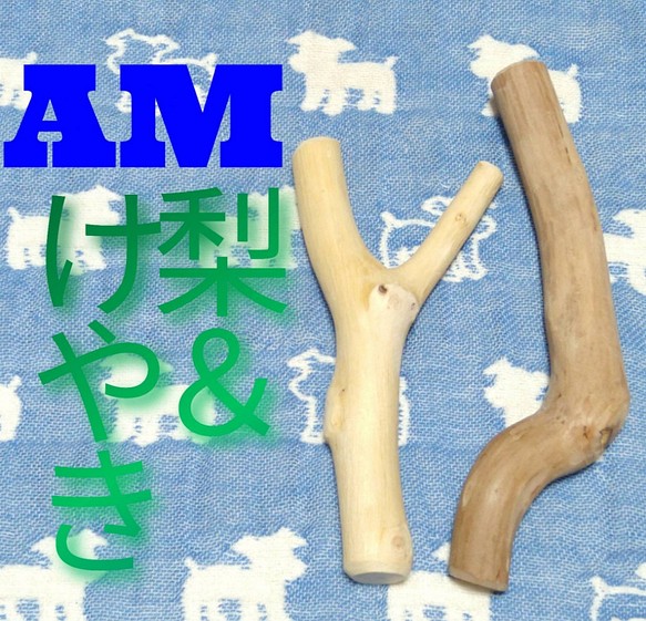 AM.けやき梨の木新品.犬用おもちゃ、小型犬向け歯固めかじり木 1枚目の画像