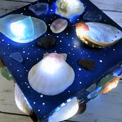 波光粼粼的貝殼和海草物體 - 貝殼燈箱Ⅴ 第1張的照片
