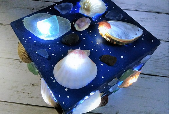 波光粼粼的貝殼和海草物體 - 貝殼燈箱Ⅴ 第1張的照片