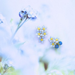 【勿忘草-Full*Bloom-】春を着飾るピアス※飾れるフォトパネル付！ 1枚目の画像