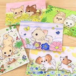 春のチワワ、パピヨン、ポメラニアン、柴犬　イラストポストカード　5枚セット 1枚目の画像