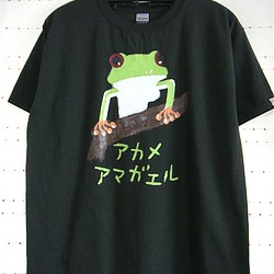 アカメアマガエル 蛙 女子m L対応サイズ メンズs対応サイズ着丈短め 深緑 手描きtシャツ Chobico Tシャツ カットソー Chobico 通販 Creema クリーマ ハンドメイド 手作り クラフト作品の販売サイト