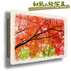 手すき和紙 アート 木製 パネル (30x21cm) 「一面の赤と緑のモミジ」 インテリア おしゃれ 壁掛け 1枚目の画像