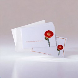 メッセージカード封筒セット （雛罌粟） 1枚目の画像