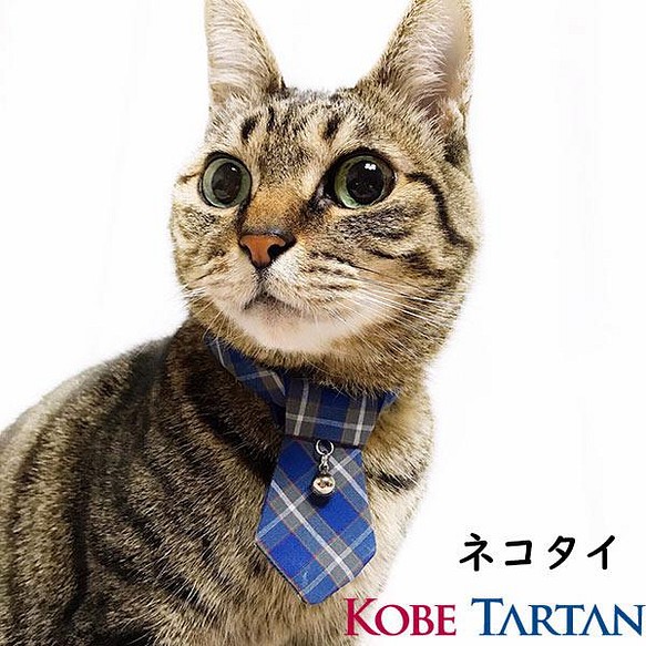 ネコタイ 猫用 ネクタイ 神戸タータン 猫 グッズ キャット ペット 首輪