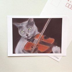 １０１　選べるポストカード　Fiddler  5枚セット 1枚目の画像