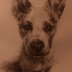 ペットの似顔絵 ペットポートレート dog-portraits オーダーメイド 犬似顔絵 パステル画 1枚目の画像