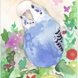 うちの子インコのイラスト 原画 鳥 インコ オリジナル 水彩画 イラスト Yuko 通販 Creema クリーマ ハンドメイド 手作り クラフト作品の販売サイト