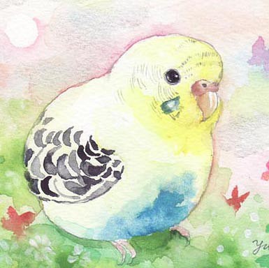 うちの子インコのイラスト（原画 鳥 インコ オリジナル 水彩画