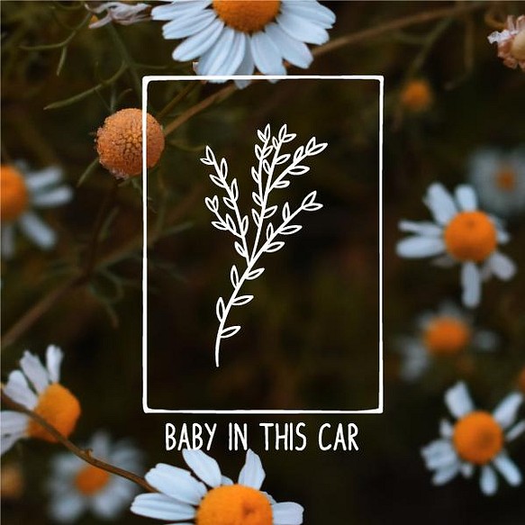 [BABY IN THIS CAR]車貼 第1張的照片