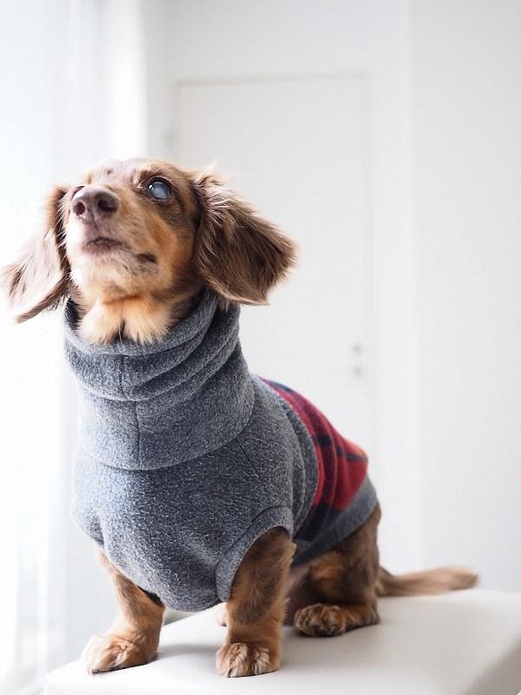 犬服 ダックスちゃんの背中切り替えハイネックタンクトップ グレイ チェック ペット服 アクセサリー Garden Heaven 通販 Creema クリーマ ハンドメイド 手作り クラフト作品の販売サイト