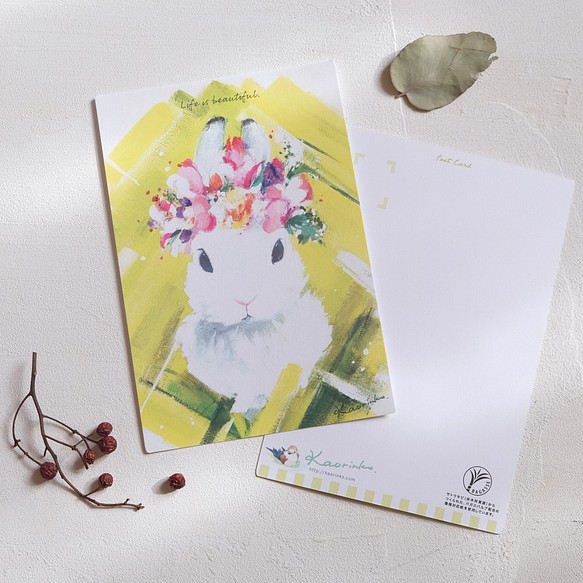 明信片【K：帶花冠的小兔子】_3張卡組★自由組合★ 第1張的照片