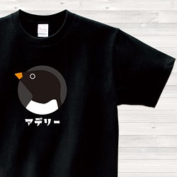 【送料込】アデリー ペンギン 黒 Tシャツ 日本語 カラー【受注生産】 1枚目の画像