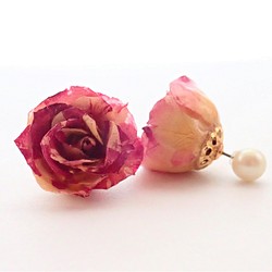 特集揭載　Rosemellia　玫瑰乾燥花　樹脂加工耳環　珍珠後耳扣　❊空郵台灣5-7天 第1張的照片