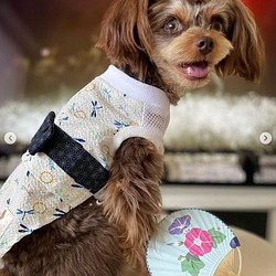 犬服 ハンドメイド 特価のおすすめ - miyomcerrahisi.com