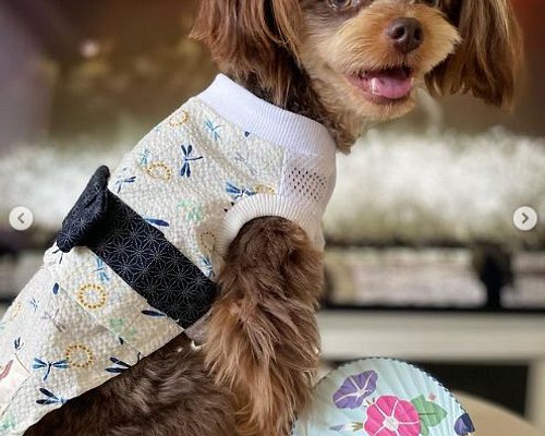 犬服ハンドメイド.ニット生地秋冬柄くまさんマフラー