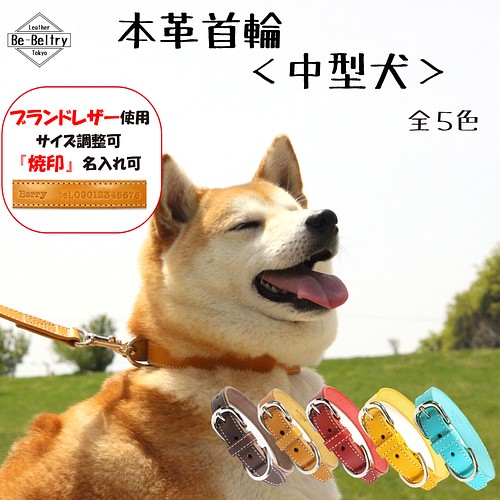 送料無料】本革首輪〈中型犬〉幅２１ｍｍ 首回り～４０cm(長さ