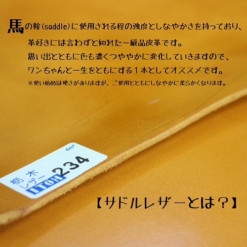 送料無料】本革首輪〈中型犬〉幅２１ｍｍ 首回り～４０cm(長さ選択可