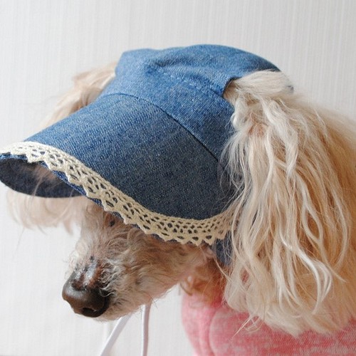 ハンドメイド　小型犬用　帽子