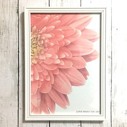 ポスター【ピンクフラワー】インテリア 花 デザイン アート ピンク フラワー カフェ 北欧 ナチュラル 1枚目の画像