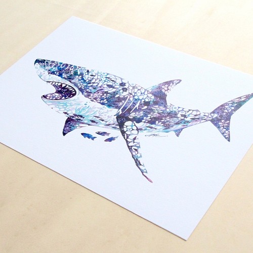 サメ 複製原画 ポスター 插畫 タケダヒロキ 的作品 Creemaー來自日本的手作 設計購物網站