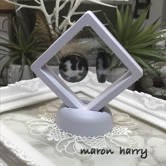 フロートコレクションケース ブレスレット MARON HARRY 通販｜Creema