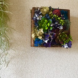 多肉植物とアジサイ 壁掛けボックス(アンティーク調画鋲付き) 1枚目の画像