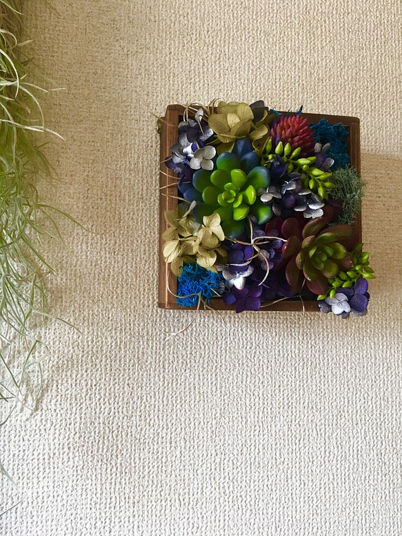 多肉植物とアジサイ 壁掛けボックス(アンティーク調画鋲付き) 1枚目の画像