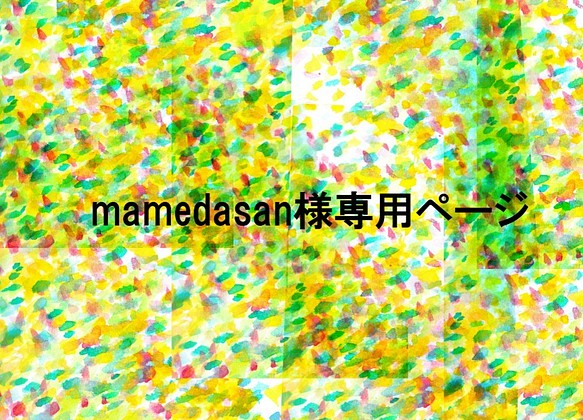 mamedasan様専用ページ 1枚目の画像