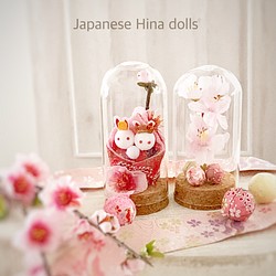 【数量限定】新春ポットの中の小さなお雛様と桜 1枚目の画像