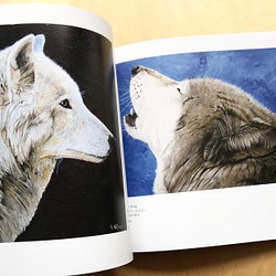 【画集】The Art of Haruki Koizumi/野生動物、鳥 3枚目の画像