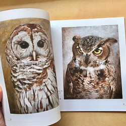 【画集】The Art of Haruki Koizumi/野生動物、鳥 4枚目の画像