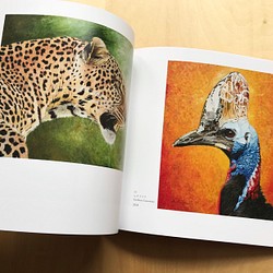 【画集】The Art of Haruki Koizumi/野生動物、鳥 5枚目の画像