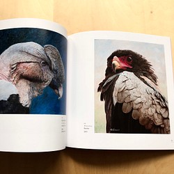【画集】The Art of Haruki Koizumi/野生動物、鳥 6枚目の画像